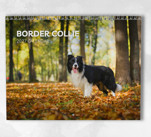 Border collie calendar 2027 - calendar,