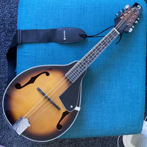 Banjo mandolin string - banjo, 8-string