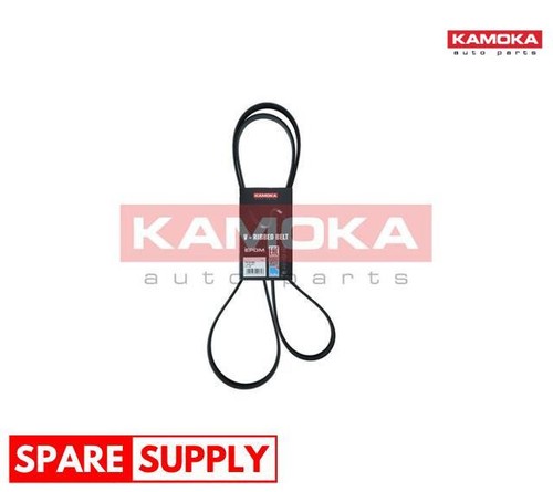 Ribbed belt for - belt,