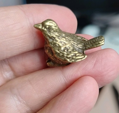 Very small tiny - tiny, sparrow