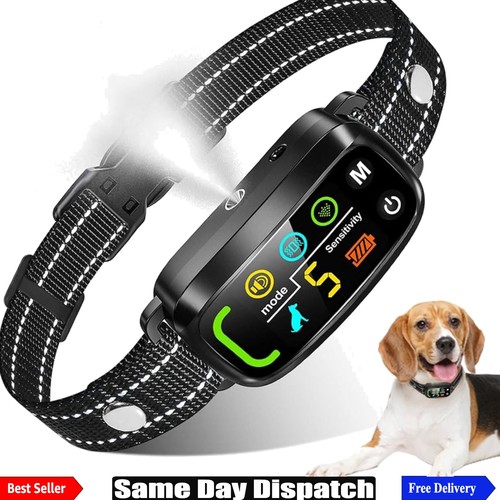 Citronella bark collar - collar, for