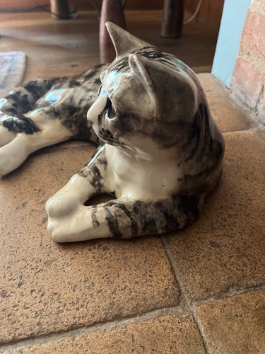 Winstanley cat size - winstanley,
