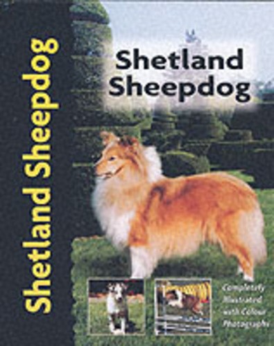 Shetland sheepdog unknown - shetland, sheepdog: