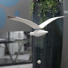 Soaring Seagulls Hanging