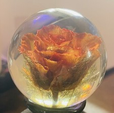 Hafod Grange Rose Paperweight