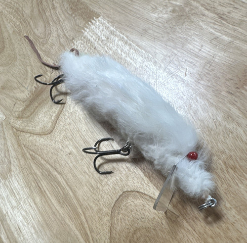Bettencourt wood rat - bettencourt,