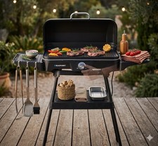 Blaupunkt Indoor-Outdoor