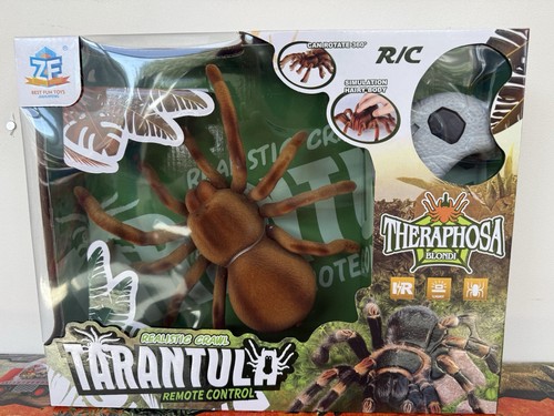 Remote control tarantula - tarantula, with