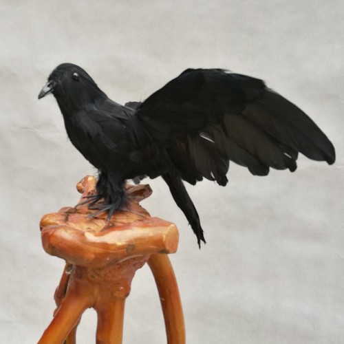 Artificial feathered crows - artificial,