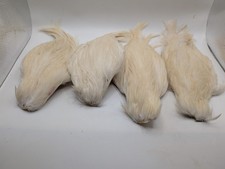 Lot of 4 Chinese Rooster Capes