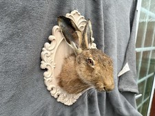 Stunning Euro Hare Head