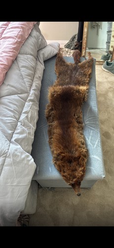 Vintage dark brown fox - vintage,