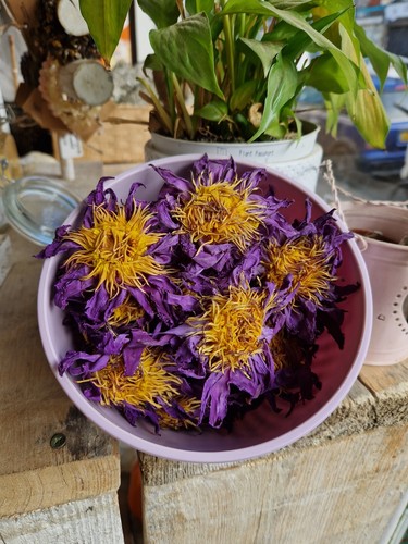 Organic blue lotus - organic,