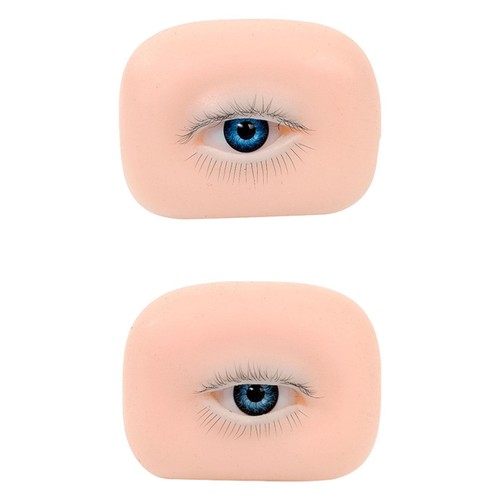 Eye model practical - eye,