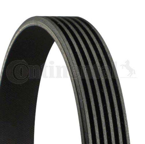 Ribbed belt contitech - v-ribbed,