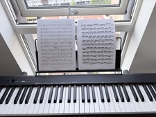 Casio CDP-S100 Digital Piano