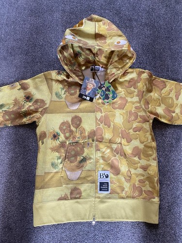 Bape van gogh - x, museum