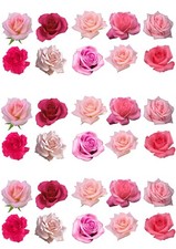 Cake Toppers 30 Mixed Pink