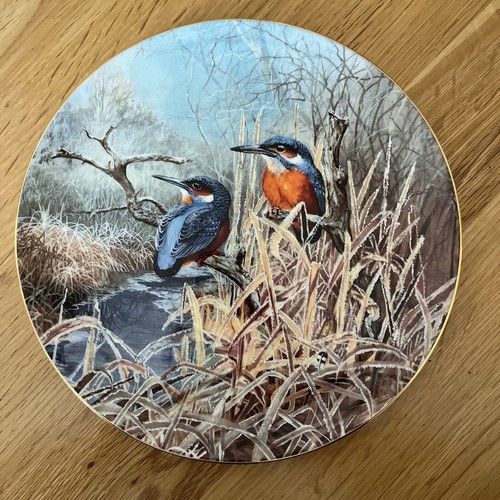 Kingfisher coalport bird - kingfisher,