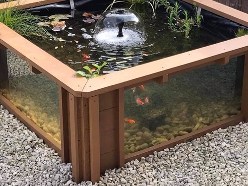 Lotus clear view garden - view,