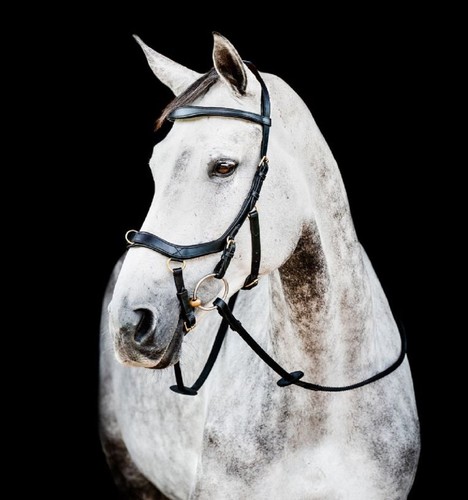 Horseware micklem 2 - micklem®,
