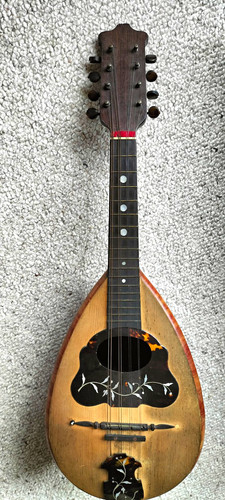 Theo voigt brown uso - theo,