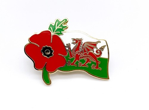 Wales welsh red poppies - wales,