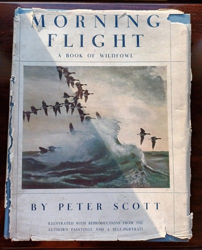 Morning flight book of - a,