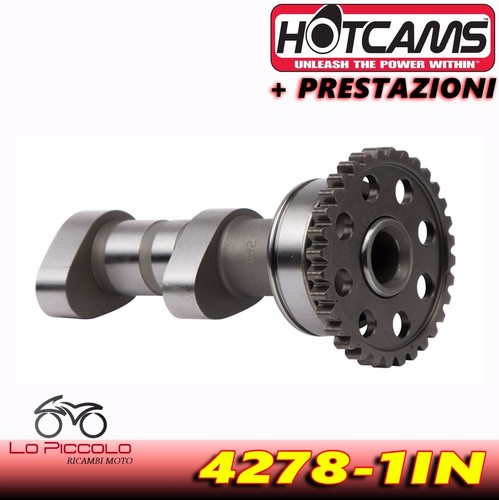 Racing camshaft intake hot - camshaft,