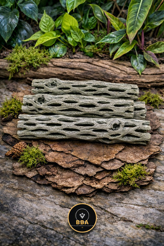 3pcs cholla cactus wood - 3pcs, 6"