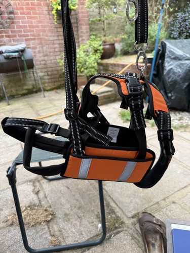 Coodeo mobility dog - mobility,