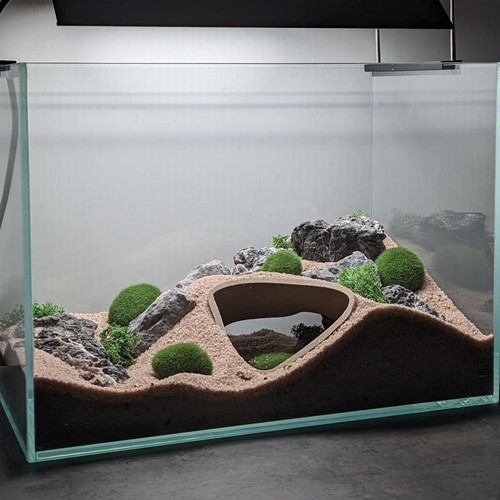 Aquarium underground cave - underground, fish
