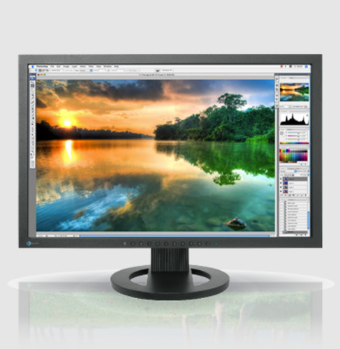 Eizo coloredge cg223w va - 22",