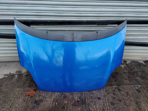 Fiat punto bonnet - panel, 494b