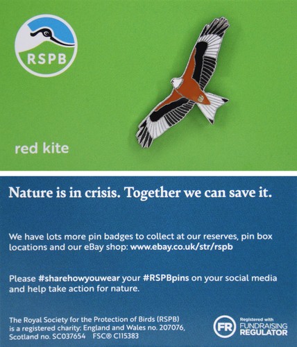 Rspb pin badge - niic, kite