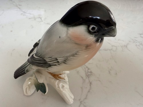 Karl ens bird bullfinch - ens,