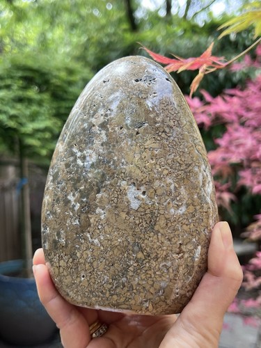 Ibis jasper large freeform - jasper,