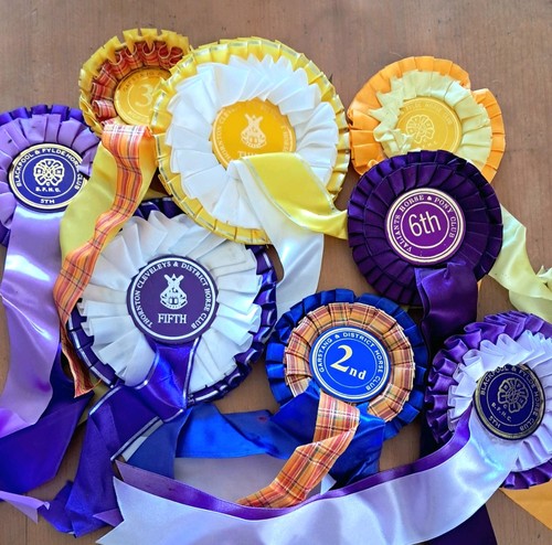 Vintage horse riding rosettes - vintage,