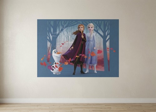 Wall mural disney - wall, "frozen"
