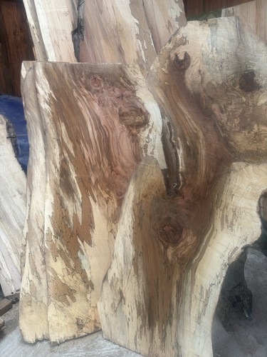 Spalted beech slabs 3ft wide - spalted,