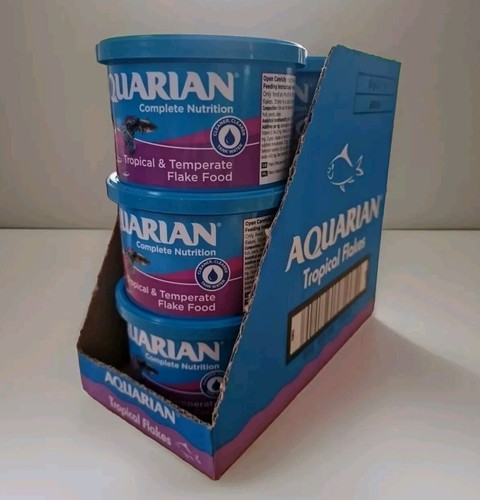 Aquarian tropical fish - aquarian,