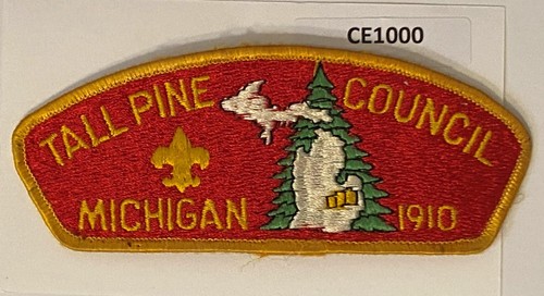 Boy scout tall pine - pine, council