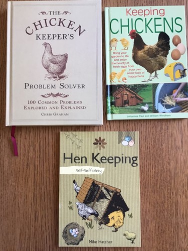 Bundle chicken hens - of,