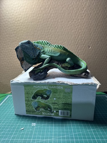 Academy garden iguana - academy,