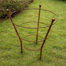 Natural Rust Metal Plant