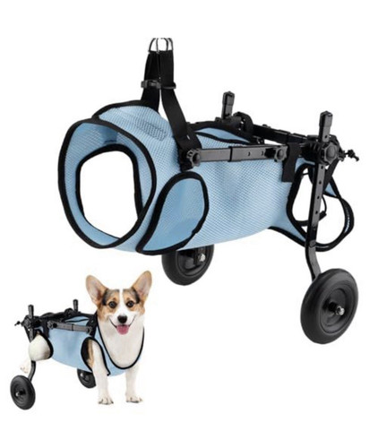 Adjustable lightweight dog - adjustable,