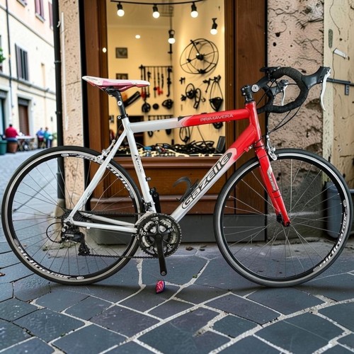 Gazelle primavera road bike - primavera,