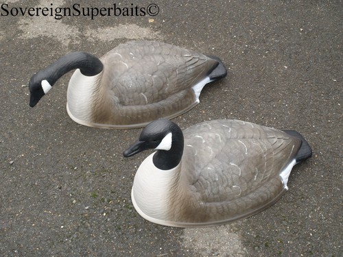 Flambeau storm front - flambeau, goose