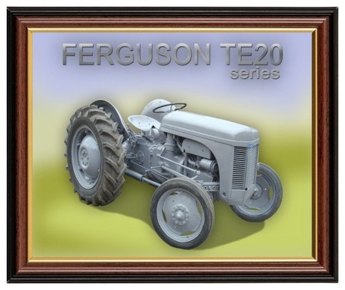 Ferguson te20 little - ferguson,