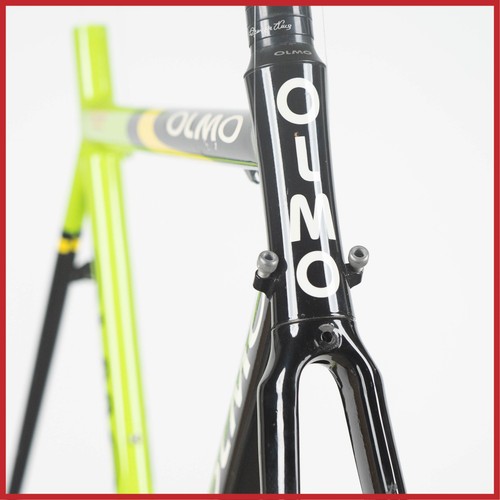 Olmo tenax oscar - olmo,